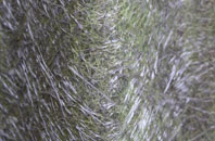 Leyburn fibreglass roof work